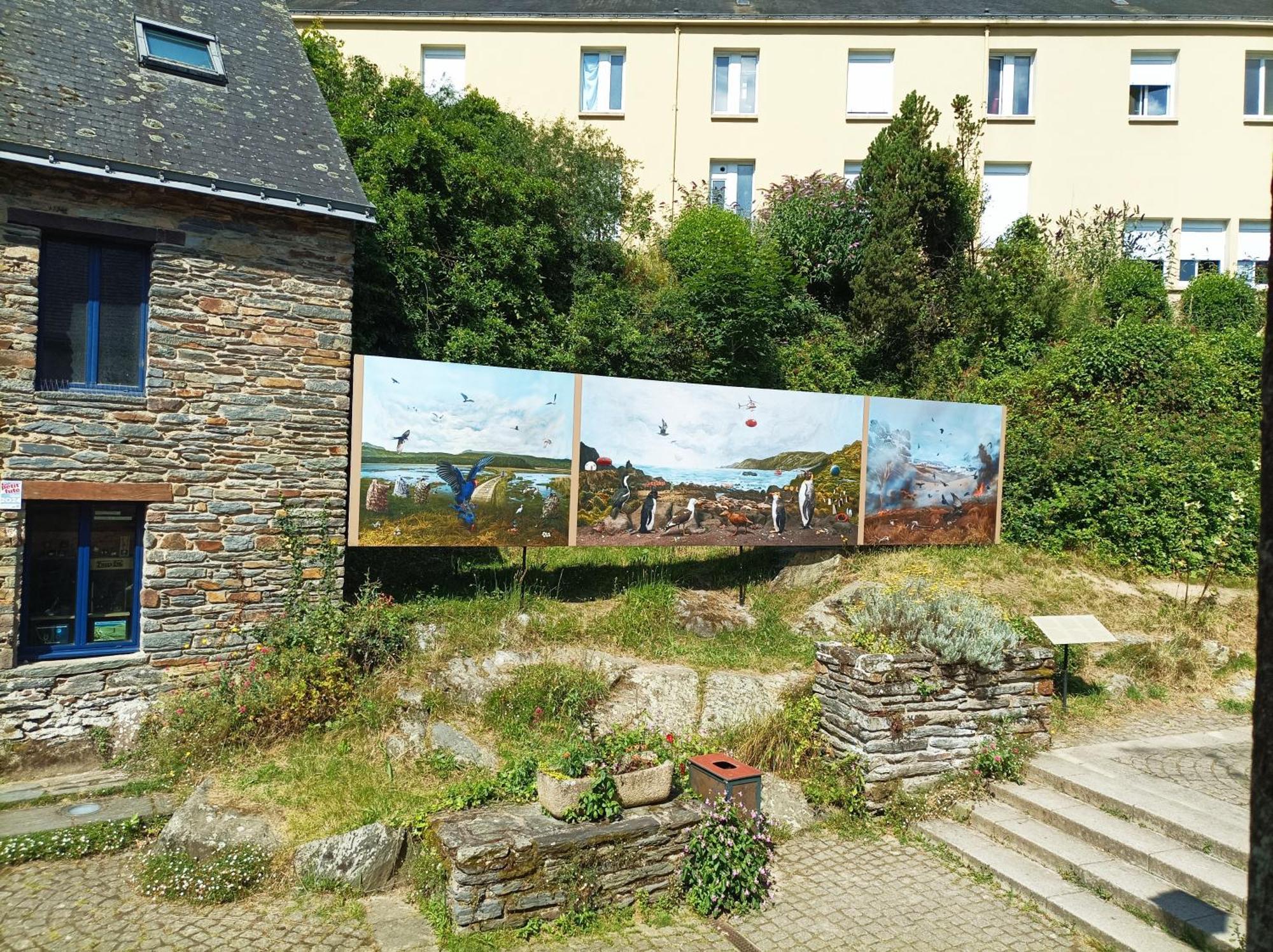 Panoramique Floral Centre Festival Photo Lejlighed La Gacilly Eksteriør billede